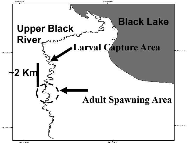 Spawning Areas Map