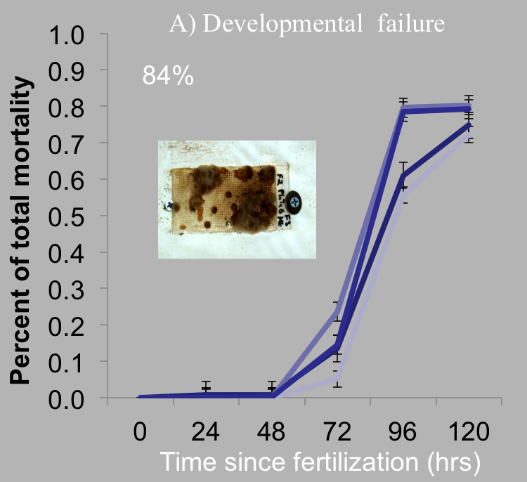 Developmental Failure Graph
