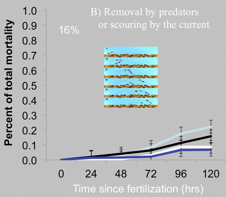 Predation Graph