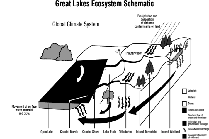 Ecosystem Diagram