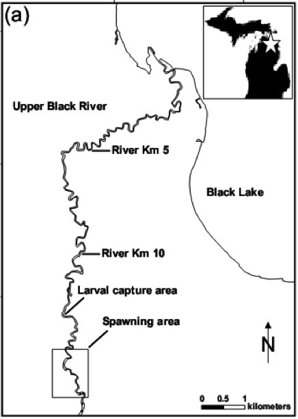 Black Lake Map