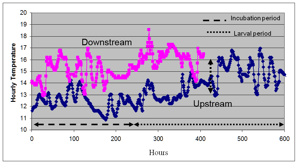 Dam Chart