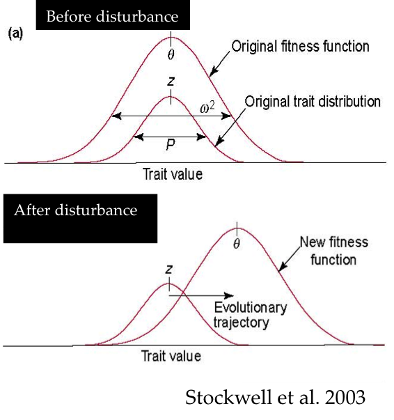 Disturbances Graphs