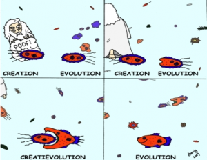 Evolution Cartoon