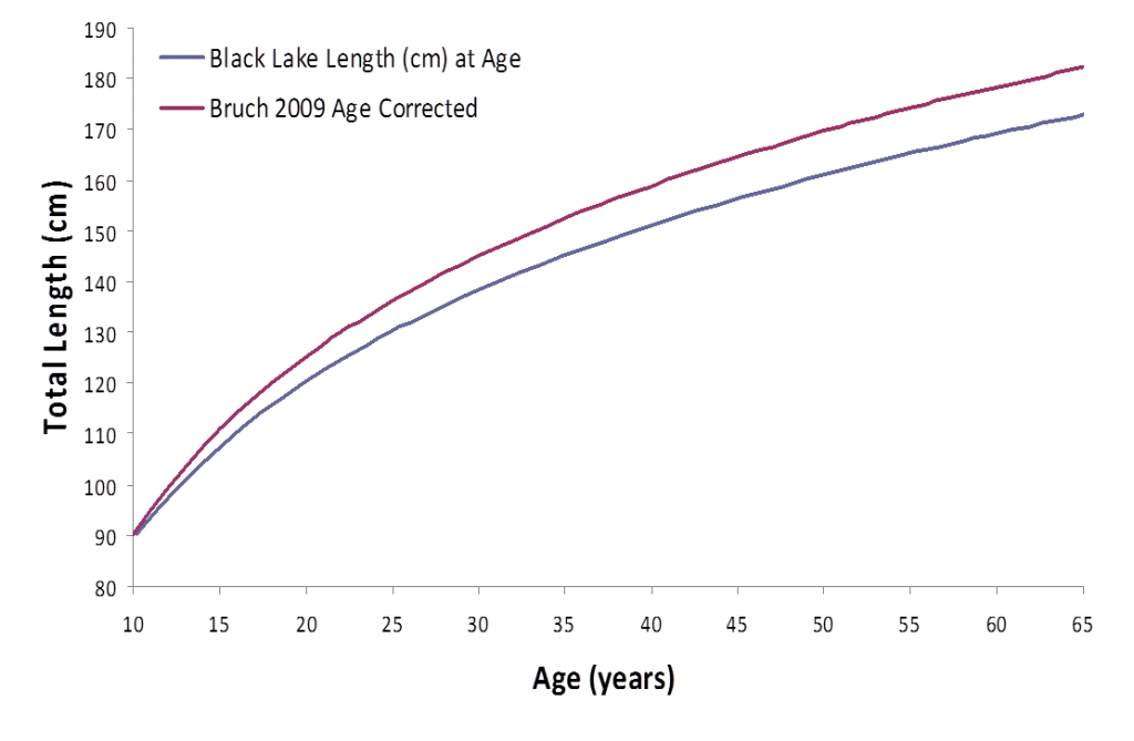 Length vs Age Graph