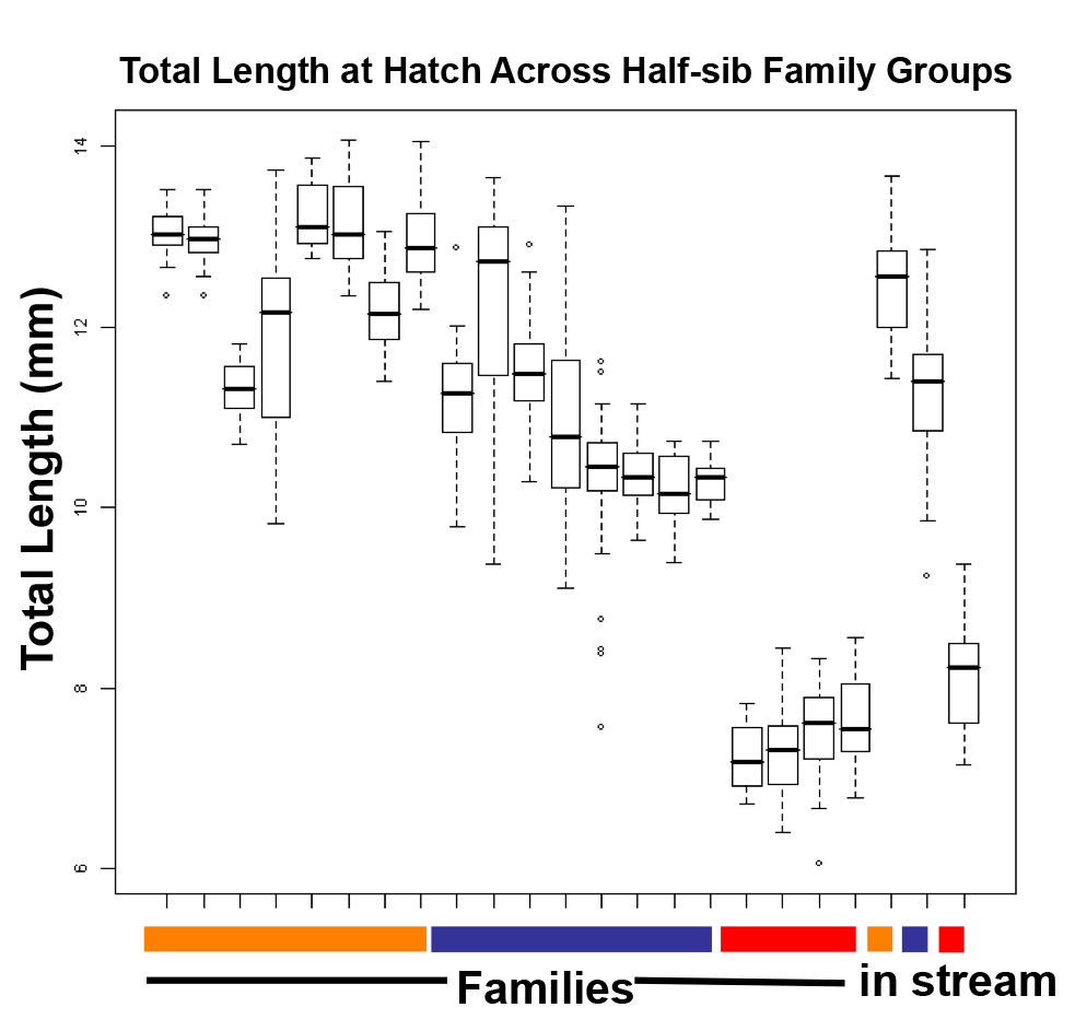 Hatch Length Graph